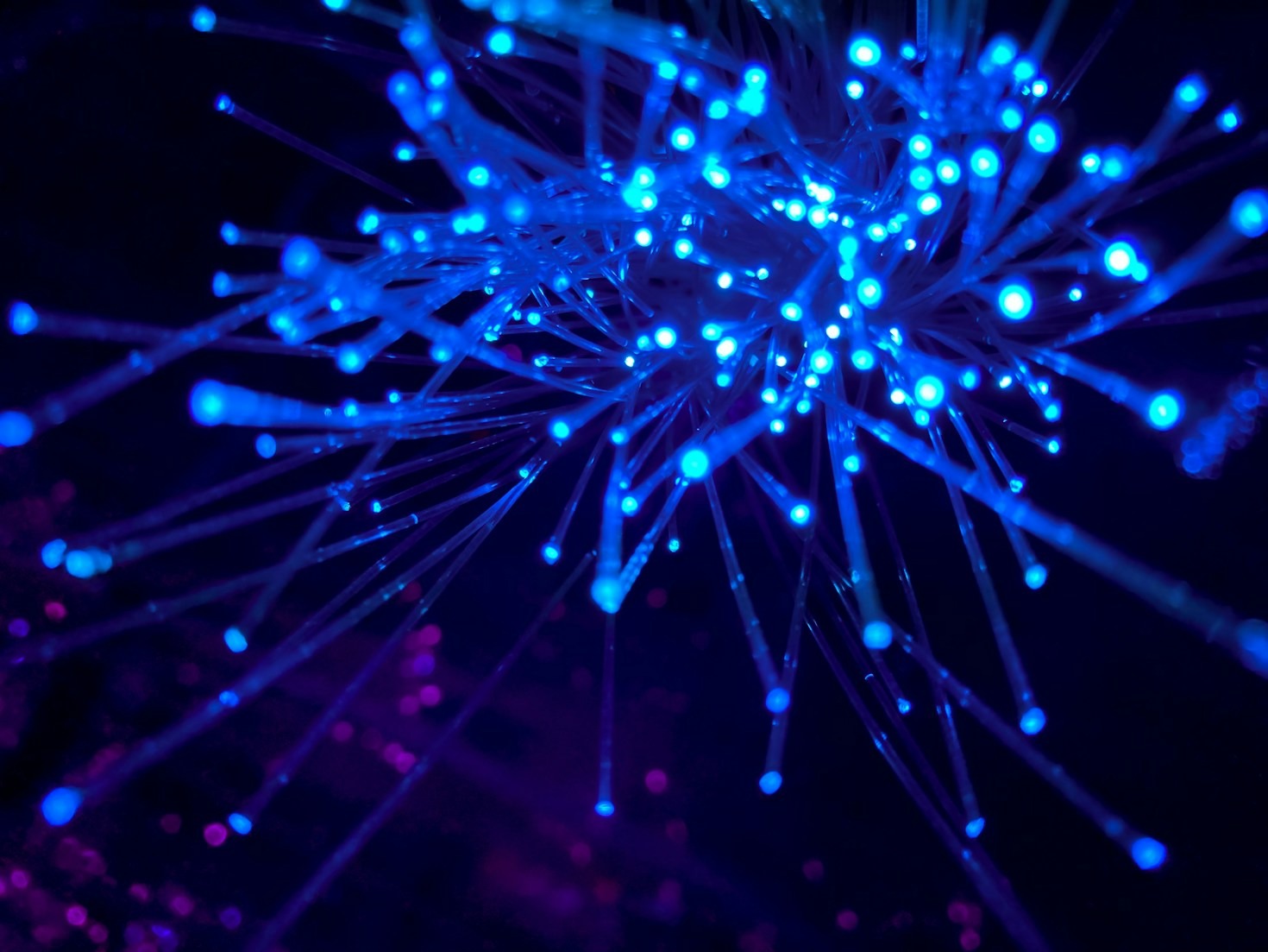 Top Projects to Build Your Data Science Portfolio